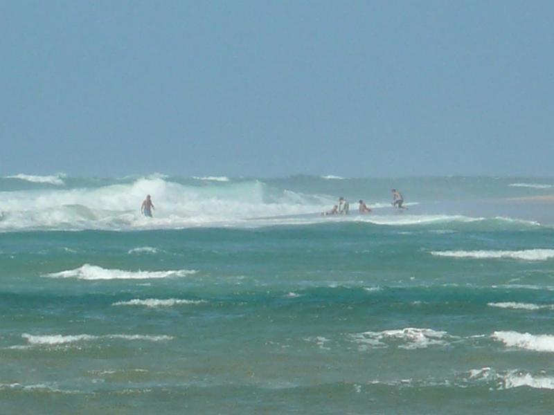 P1020246.JPG