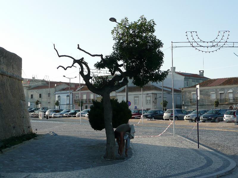 P1020490.JPG