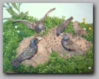 [grote foto]